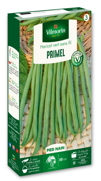 Légumes Secs - Haricot Nain Vert Primel - PACKAGING_3D_RECTO